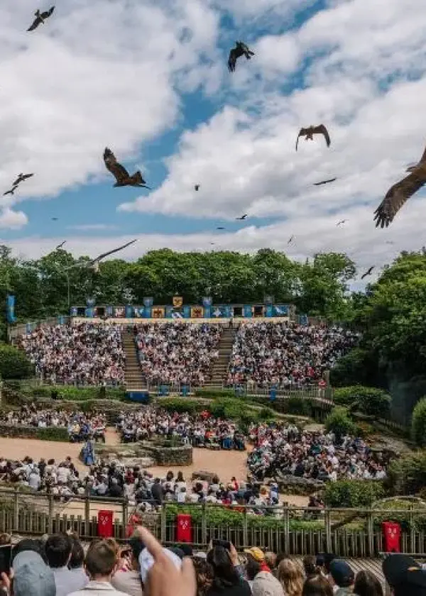 Le Bal des Oiseaux Fantômes – Puy du Fou