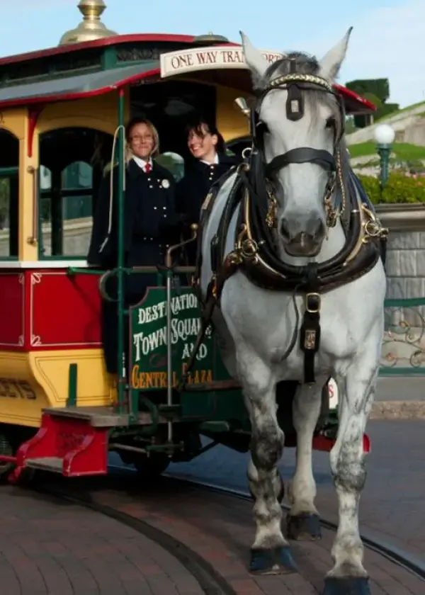 Horse-Drawn Streetcars – Parc Disneyland